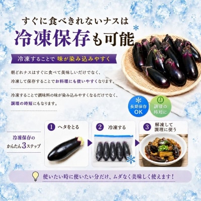 【スピード発送】朝どれナス 1kg 室戸の茄子「竜馬」を新鮮なまま産直お届け