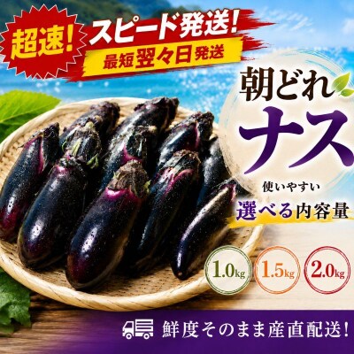 【スピード発送】朝どれナス 1.5kg 室戸の茄子「竜馬」を新鮮なまま産直お届け