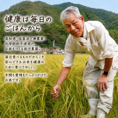 有機JAS認証米 白米 5kg 令和7年度産 佐喜浜米