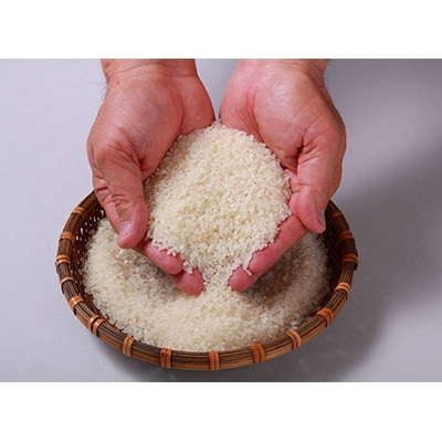 【令和3年産】筑前町産【元気つくし】無洗米2kg×4袋