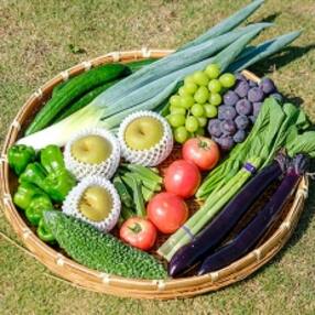 野菜 人気特産品おすすめランキング 週間 ふるさと納税サイト さとふる 野菜 人気特産品おすすめランキング 週間 ふるさと納税サイト さとふる