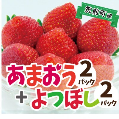 【農園直送】筑前町産あまおう&よつぼし食べ比べセット(あまおう2パック+よつぼし2パック)
