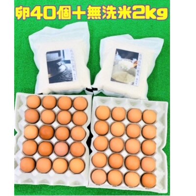 お腹いっぱい食べよう　輝黄卵40個と無洗米2kgセットA