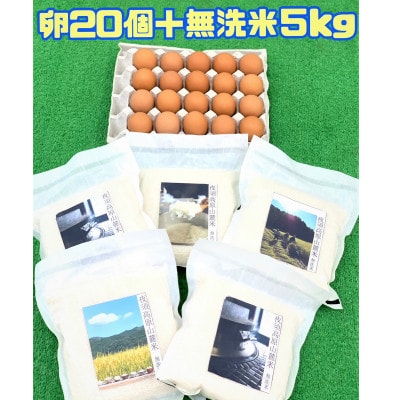 お腹いっぱい食べよう　輝黄卵20個と無洗米5kgセットB