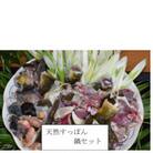 天然すっぽん鍋【4～5人前】