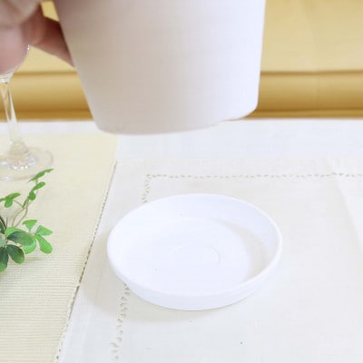 サンスベリア 5号 ホワイト丸プラスチック鉢 土の表面:ウッドチップ