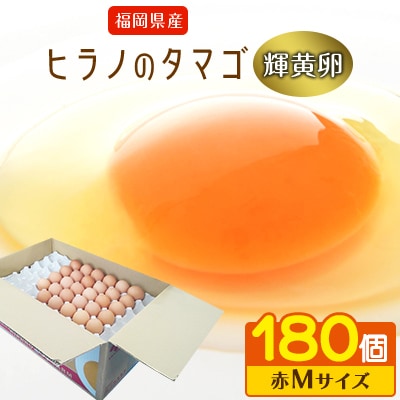 ボリュームサイズ!ヒラノのたまご【輝黄卵(きおうらん)】赤Mサイズ　180個