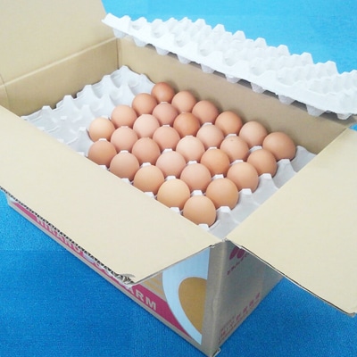 ボリュームサイズ!ヒラノのたまご【輝黄卵(きおうらん)】赤Mサイズ10kg(160個前後)