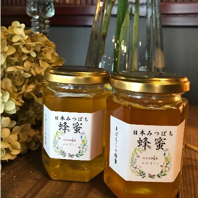 日本みつばちの蜂蜜　170g×2本