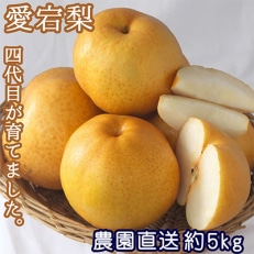 和梨,入浴剤のお礼品・返礼品一覧 | ふるさと納税サイト「さとふる」