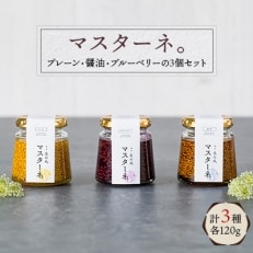 「マスターネ。」プレーン・醤油・ブルーベリーの3個セット