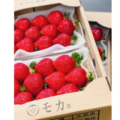 手づみ農園モカのあまおう苺260g×4パック