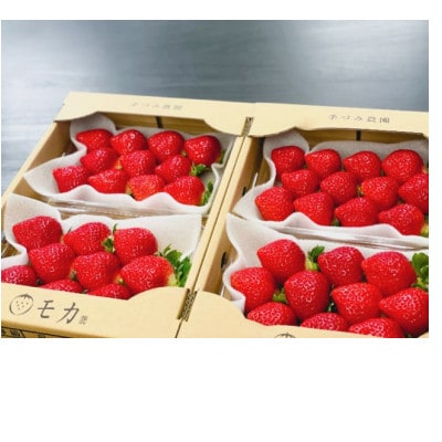 手づみ農園モカのあまおう苺260g×4パック