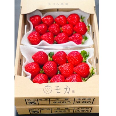 手づみ農園モカのあまおう苺260g×4パック