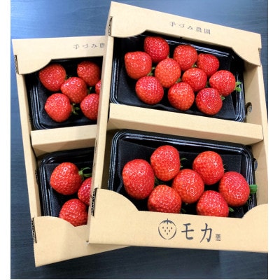 手づみ農園モカのあまおう苺210g×4パック