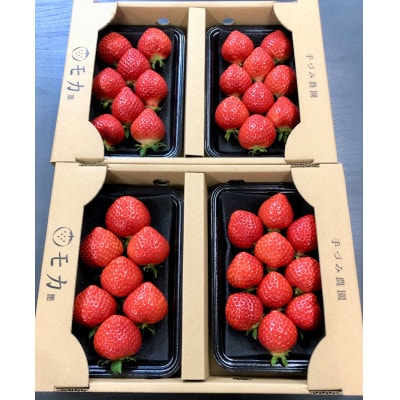 手づみ農園モカのあまおう苺210g×4パック