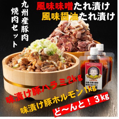 九州産豚肉　焼肉ボリュームセット(ハラミ・ホルモン)　3kg、さゆりばぁば亭辛噌300g