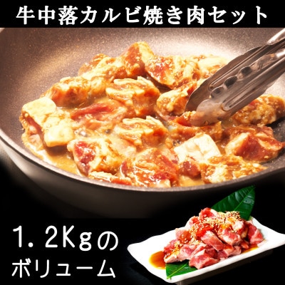 牛中落ちカルビ焼肉セット　計1.2kg
