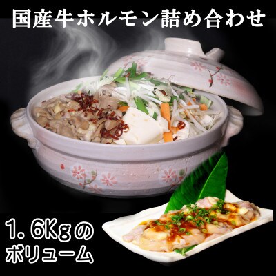 国産牛ホルモンバラエティセット　計1.6kg