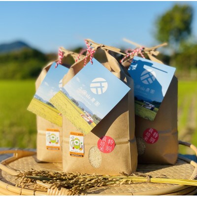 令和3年産 特別栽培米 白米6kg【2kg×3袋】夢つくし/元気つくし
