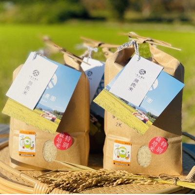 令和5年産【特別栽培米】久保山百年米-無洗米(2kg×3袋)計6kg精米したてをすぐに発送致します!