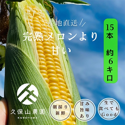 【完熟メロンのように甘い】朝採り!スイートコーン　約6kg【贈答用にもオススメ】