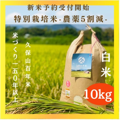 令和7年産　特別栽培米 白米10kg【5kg×2袋】夢つくし/元気つくし