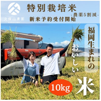 令和7年産　特別栽培米 白米10kg【5kg×2袋】夢つくし/元気つくし