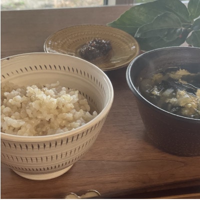 【新米 農家直送】令和7年産 久保山百年米 玄米10kg【5kg×2袋】夢つくし/元気つくし