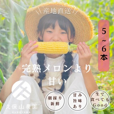 【完熟メロンのように甘い】朝採り!とうもろこし 5～6本(約1.5キロ～2キロ)