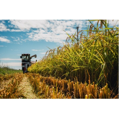 【新米】令和7年産 特別栽培米【無洗米】計9kg(3kg×3袋)精米したてを農家直送でお届け!