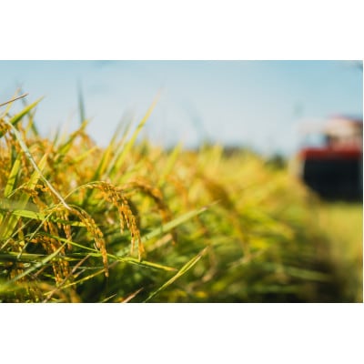 【新米】令和7年産 特別栽培米【白米】 計9kg(3kg×3袋)精米したてを農家直送でお届け!