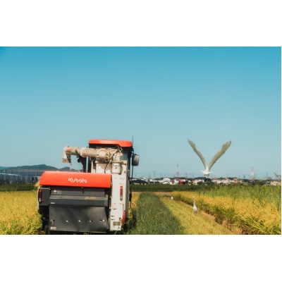 令和7年産 身体にやさしいお米【栽培期間中、農薬・化学肥料を一切使わず育てたお米】農家直送致します