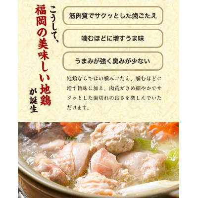福岡限定!はかた地どり美人水炊き5種セット　2～3人前(筑前町)