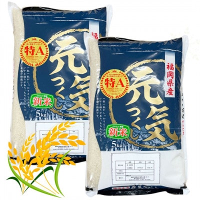 【令和7年産】福岡県産ブランド米「元気つくし」白米10kg(筑前町)