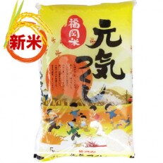 【新米・令和5年度産】福岡県産ブランド米「元気つくし」無洗米5kg(筑前町)