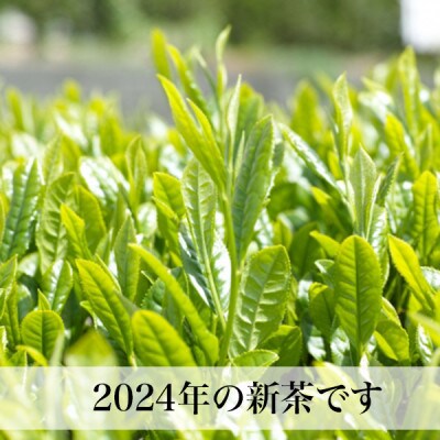 【2025年産新茶ギフト】星野村の八女茶 飲みくらべ2本セット 化粧箱入り(筑前町)