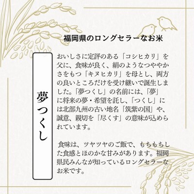 【無洗米】夢つくし 《真空パック》20kg(1kg×20本)(筑前町)