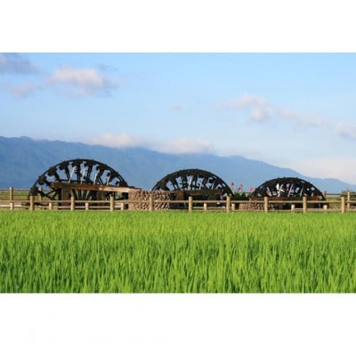 【令和4年産】福岡県三連水車ひのひかり　10kg(5kg×2袋)