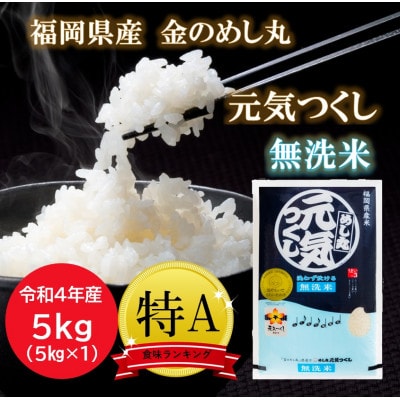【令和4年産】特A評価　福岡県産金のめし丸元気つくし無洗米　5kg(5kg×1袋)