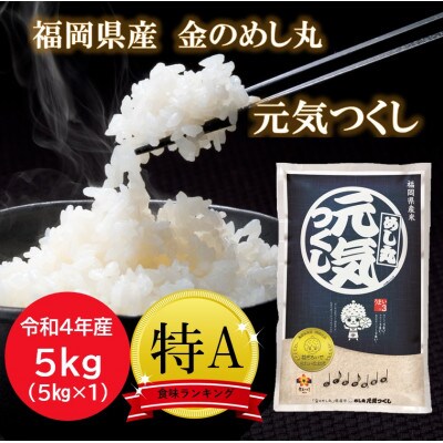 【令和4年産】特A評価　福岡県産金のめし丸元気つくし　5kg(5kg×1袋)