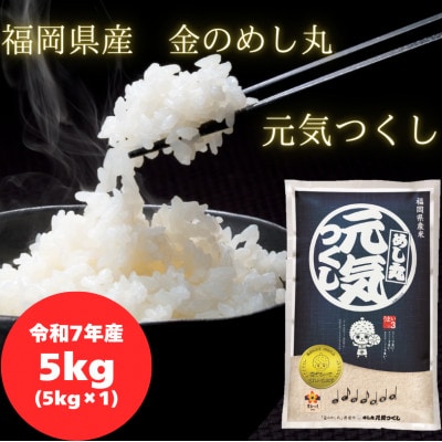 【令和7年産】　福岡県産金のめし丸元気つくし　5kg(5kg×1袋)