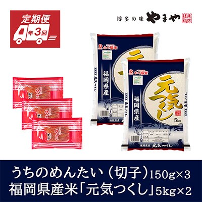 2023年11月発送開始『定期便』やまやのうちのめんたい150g×3とお米5kg×2のセット　全3回