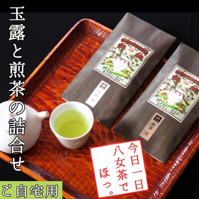【八女茶　江戸宝永年間創業】14代目オススメの玉露と煎茶2本セット(ご自宅用)