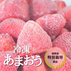 うるう農園の【特別栽培】冷凍あまおう800g(筑前町)