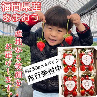 福岡県産あまおう　250g×4パック