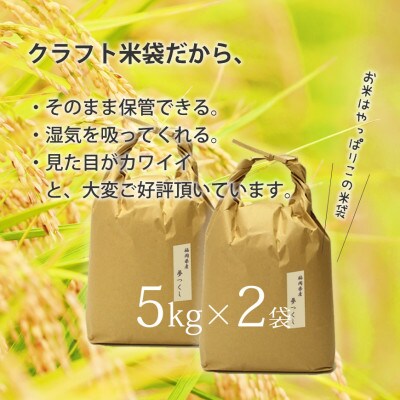 福岡県産「夢つくし」5kg×2袋 [10kg] [玄米](筑前町)