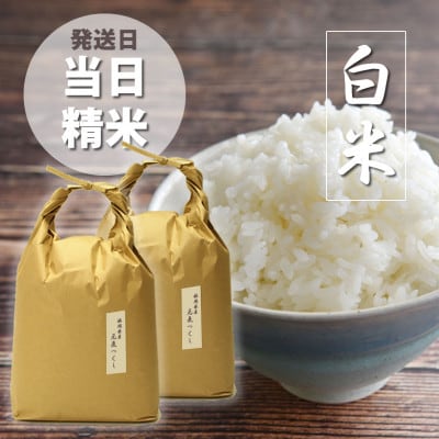 福岡県産「元気つくし」5kg×2袋 [10kg] [白米](筑前町)