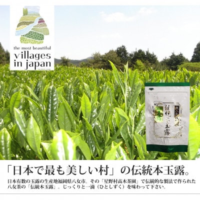 奥八女星野村　伝統本玉露[50g]×1袋(筑前町)