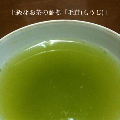 奥八女星野村　伝統本玉露[50g]×1袋(筑前町)